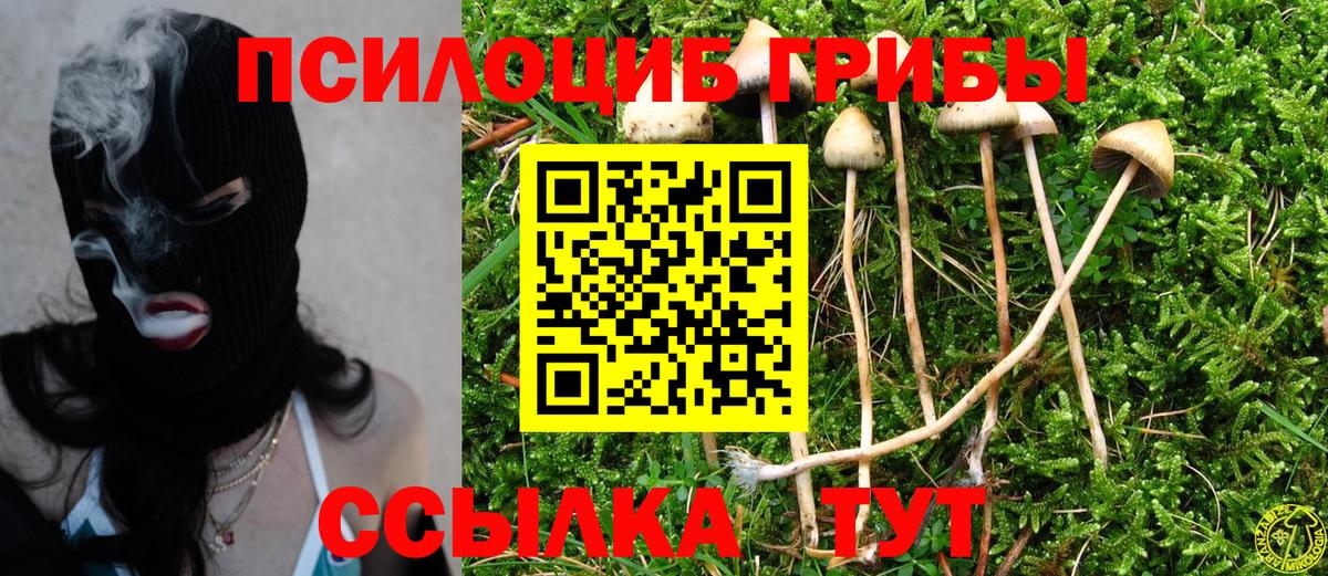 Псилоцибиновые грибы GOLDEN TEACHER  Вход с VPN  Псилоцибиновые грибы мухоморы  Сегежа 